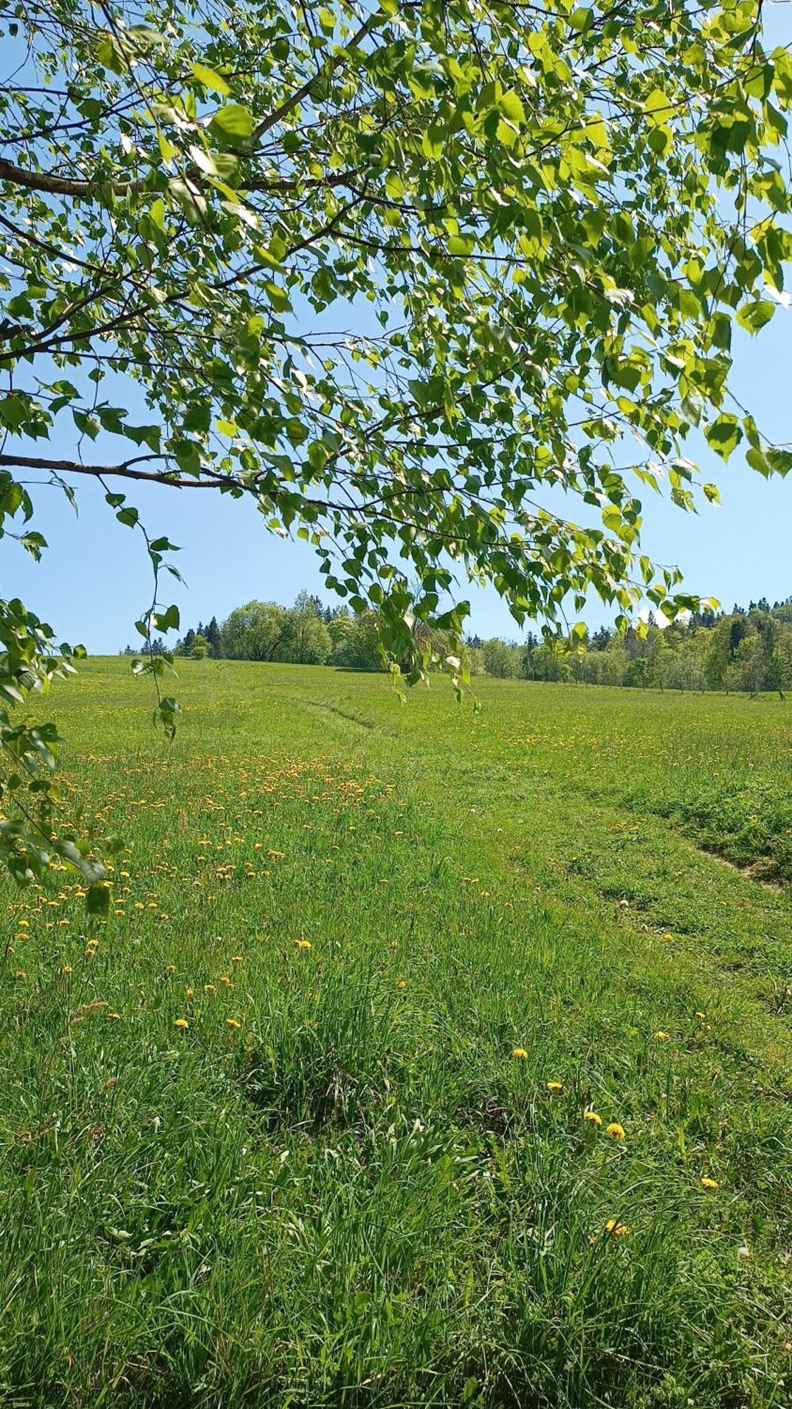 Groń Lux Houses W Domku Tylko Dwa Apartamentyz Jacuzzi Zewnetrznym מראה חיצוני תמונה